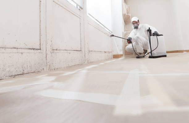 24/7 Emergency Mold Cleanup experts in Rockford, IL