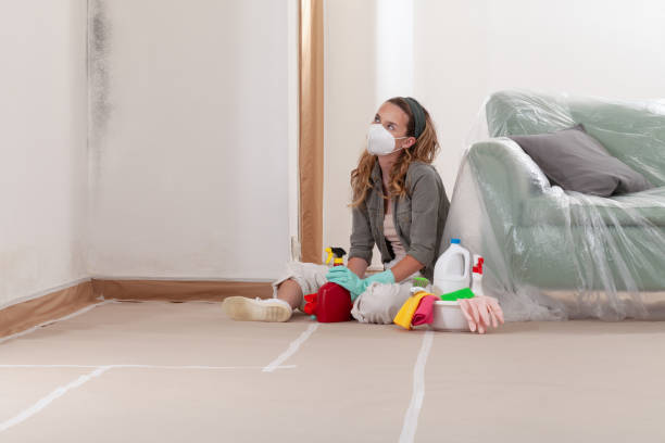 Reliable Mold Cleanup contractor in Rockford, IL by WQB Mold Removal